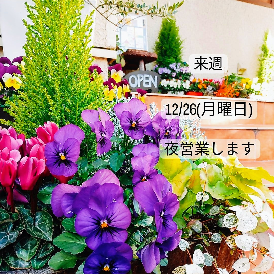 来週12/26(月曜日)は営業します😊