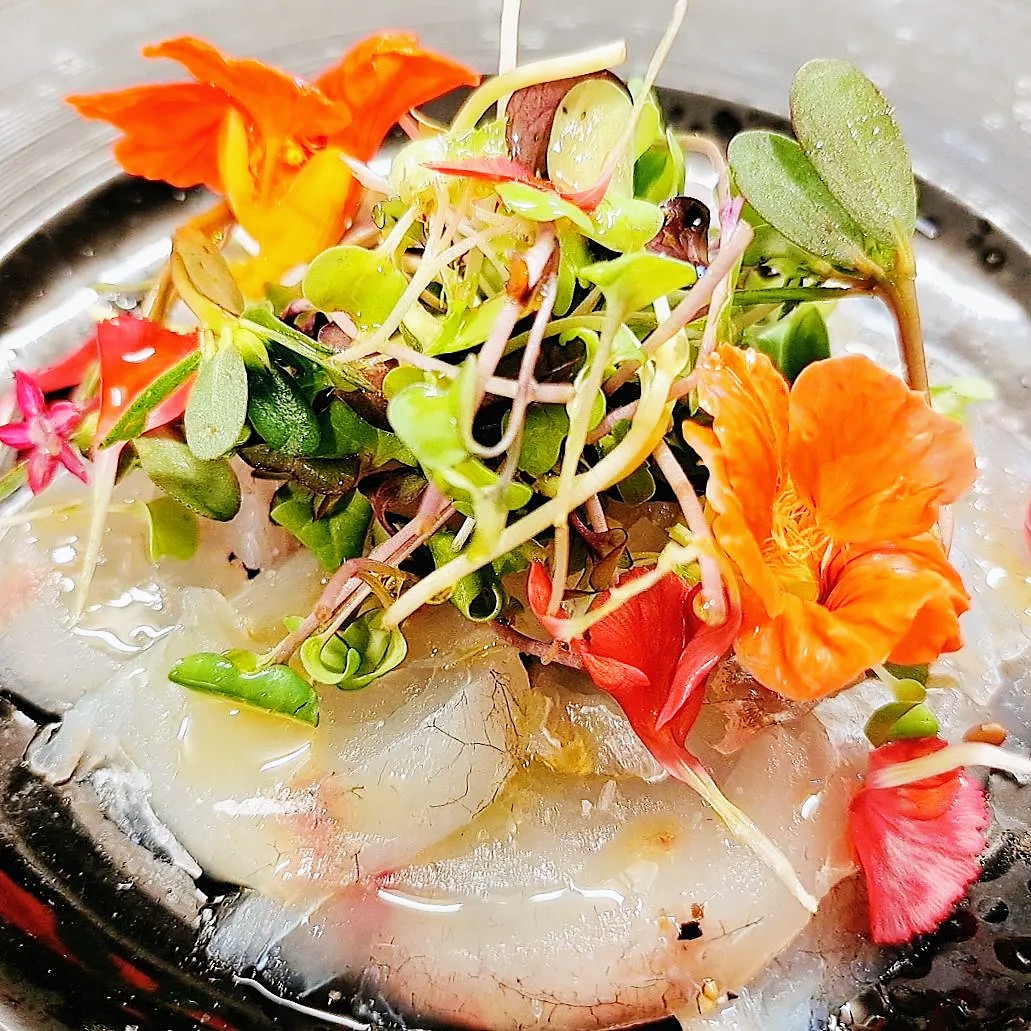 日間賀島産 コチのカルパッチョ