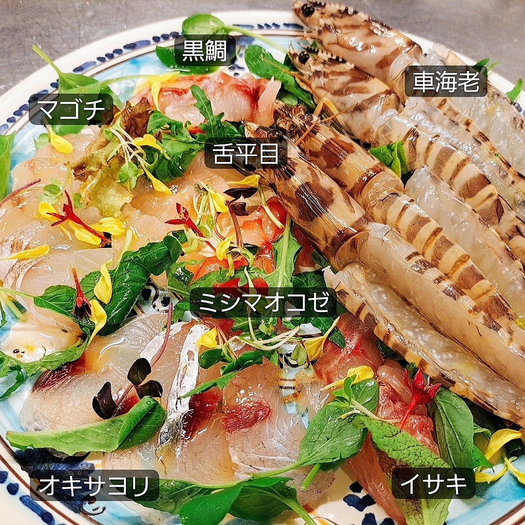 南知多漁師「鈴木項太さん」直送 活き締め車海老と鮮魚のカルパッチョ盛り合わせ