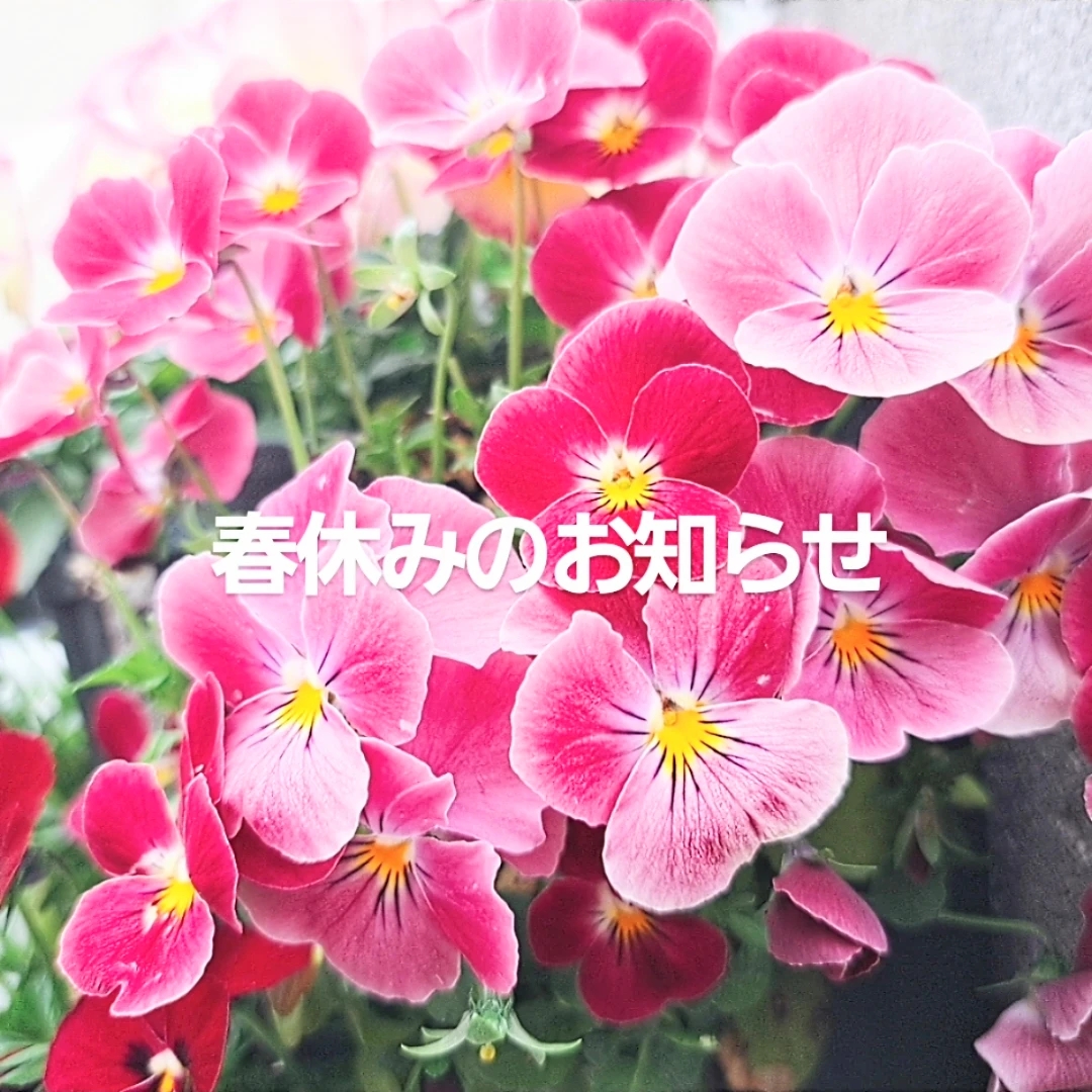 春休みのお知らせ