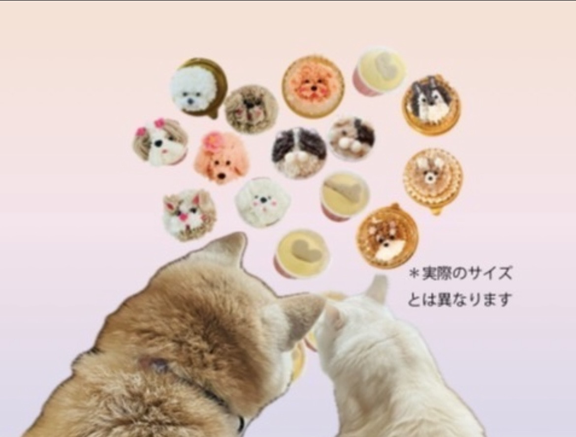 Ohanaわんにゃんスイーツ