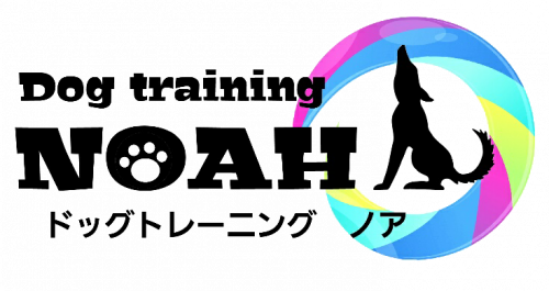 Dogtraining NOAH｜犬のしつけ | 埼玉県さいたま市 |  