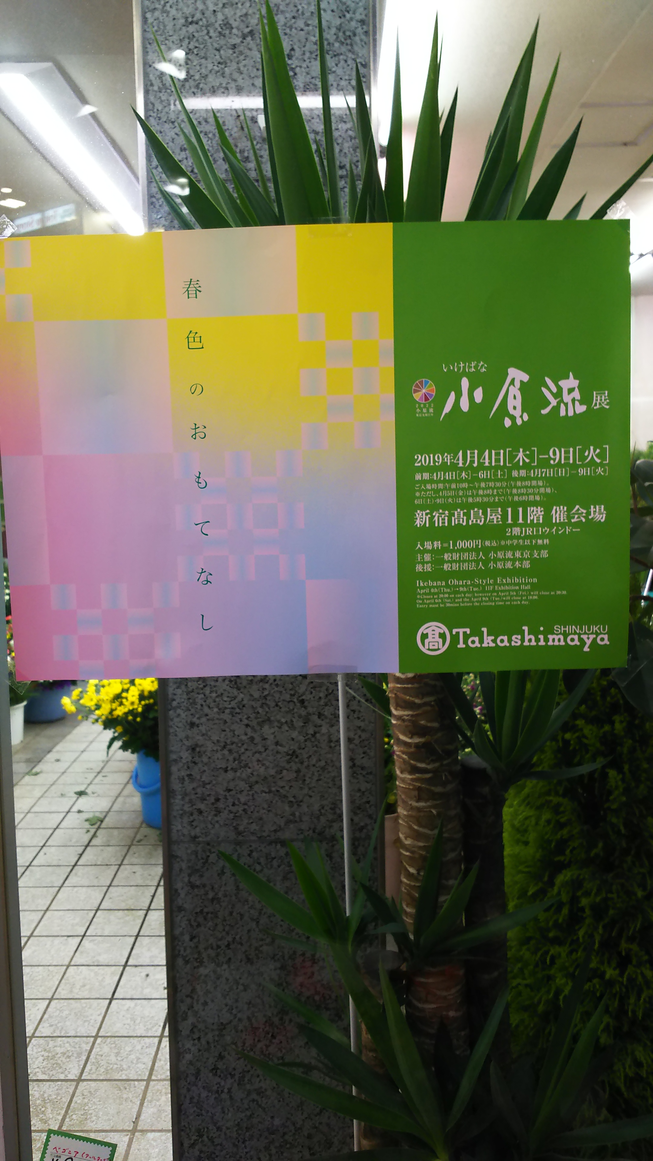 第52回日本いけばな芸術展 いけばな草月流