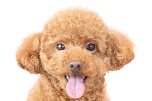 ご利用誠にありがとうございました！