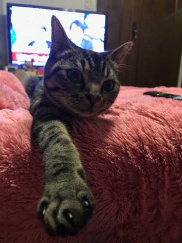 ご利用誠にありがとうございました