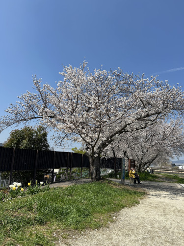 ゴールデンウィーク