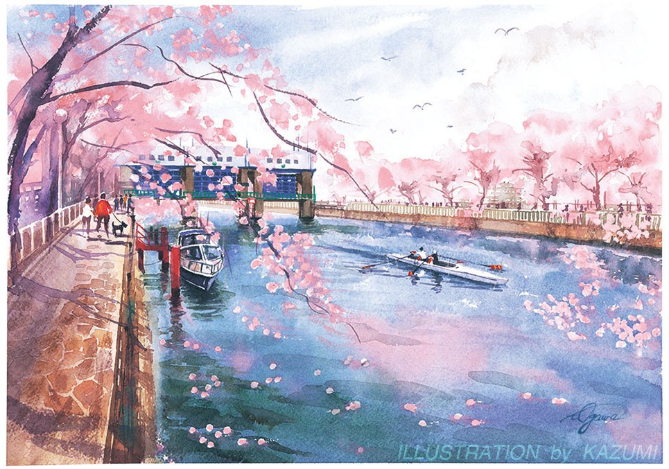 春満開の桜が気持ち良い小名木川水門.jpg