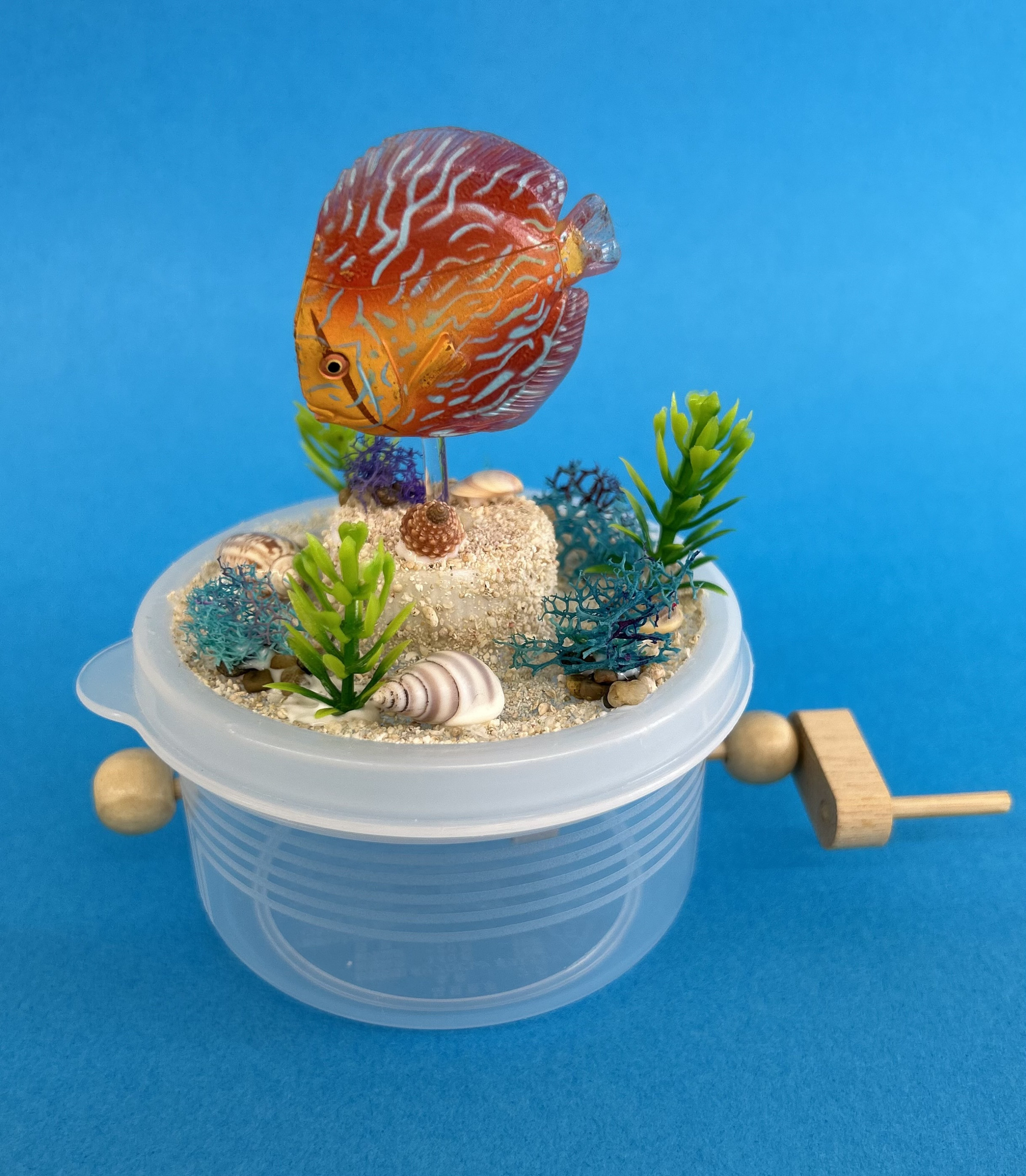 カラクリ工作  (小1  女の子　「南国の熱帯魚」)