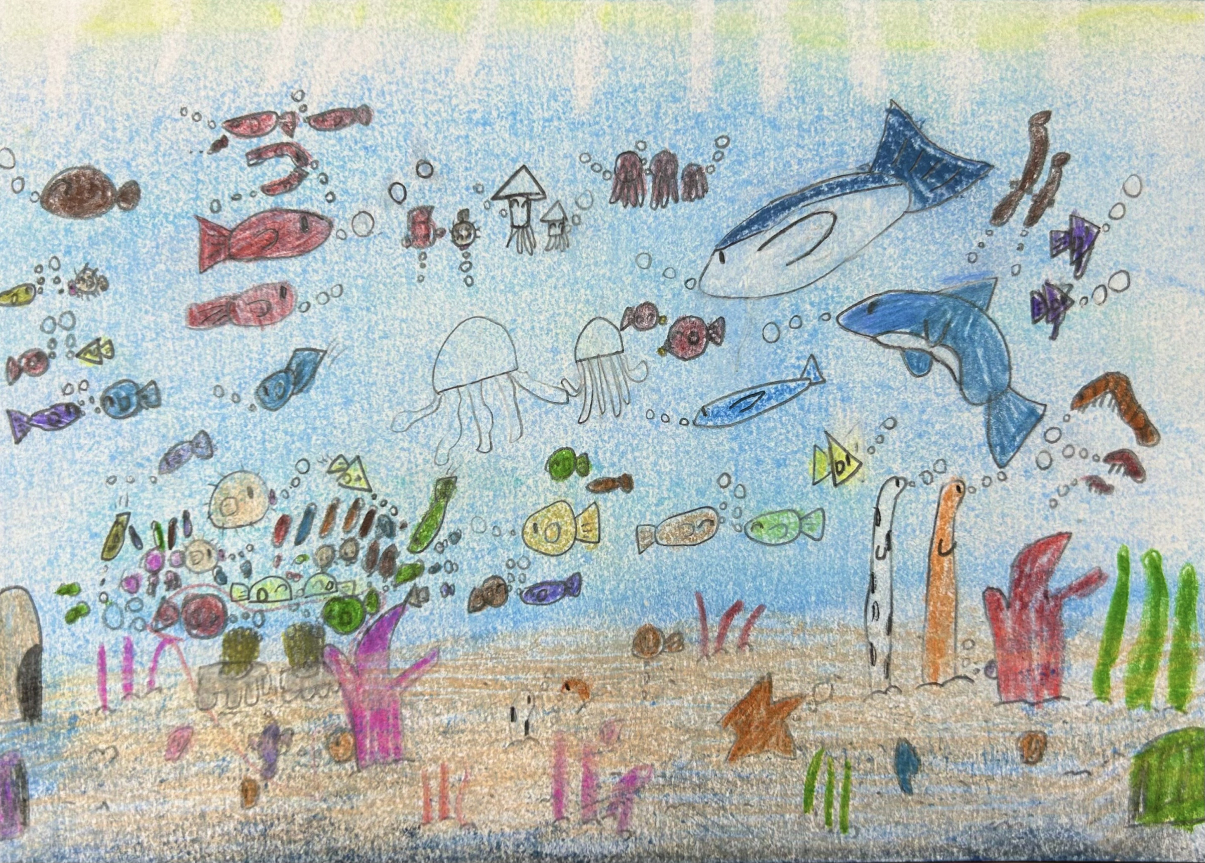 ﾊﾟｽﾃﾙ＆色鉛筆画  (小4  女子  「海の仲間たち」)
