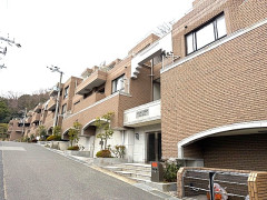 image1.jpeg