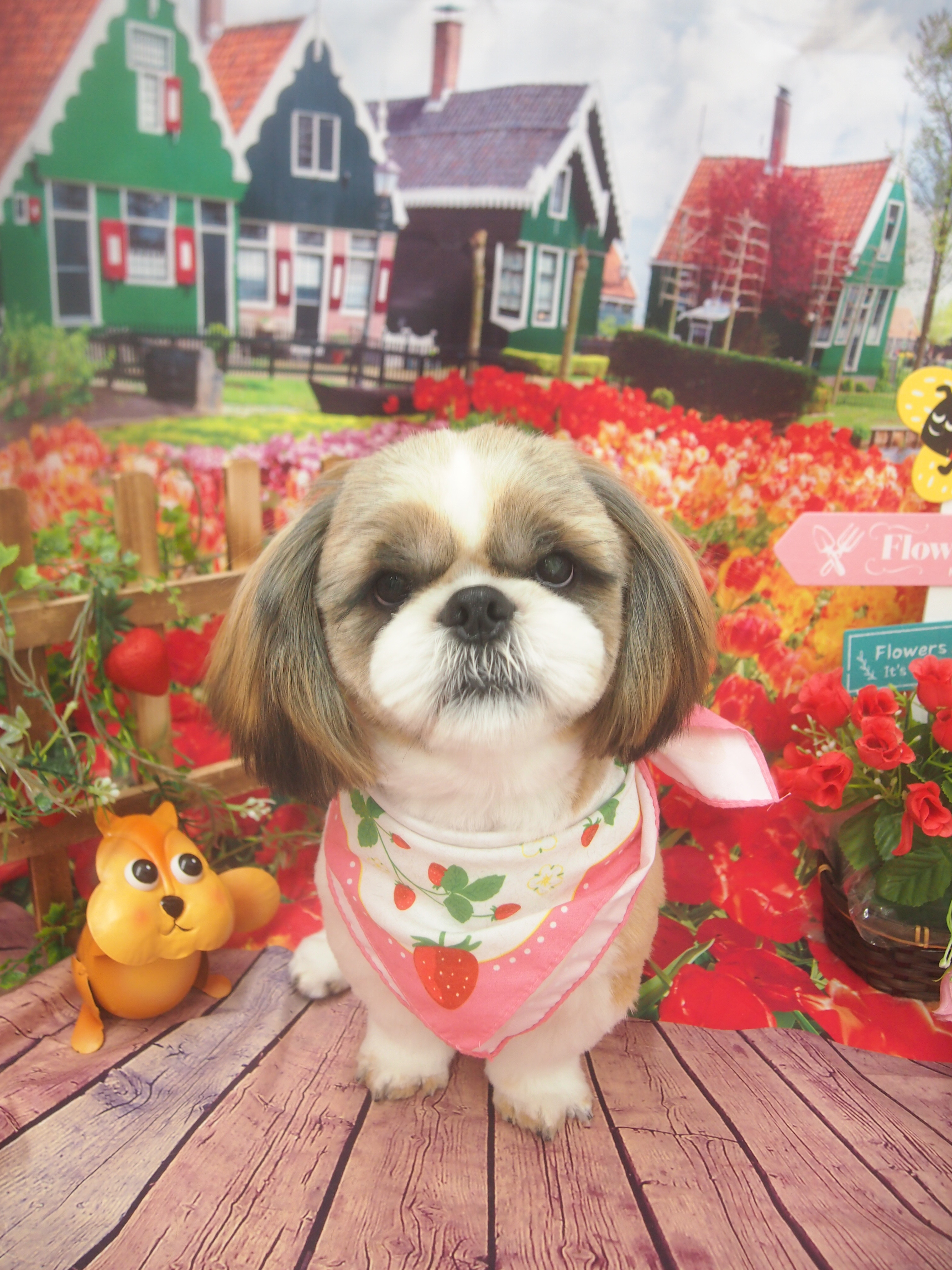 蓮 T 田中.JPG
