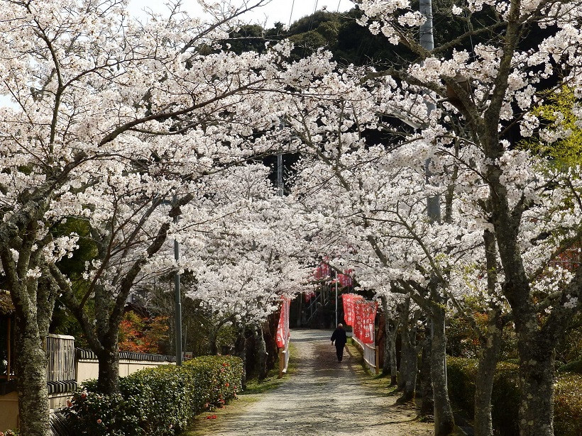 加賀田神社 (1).JPG