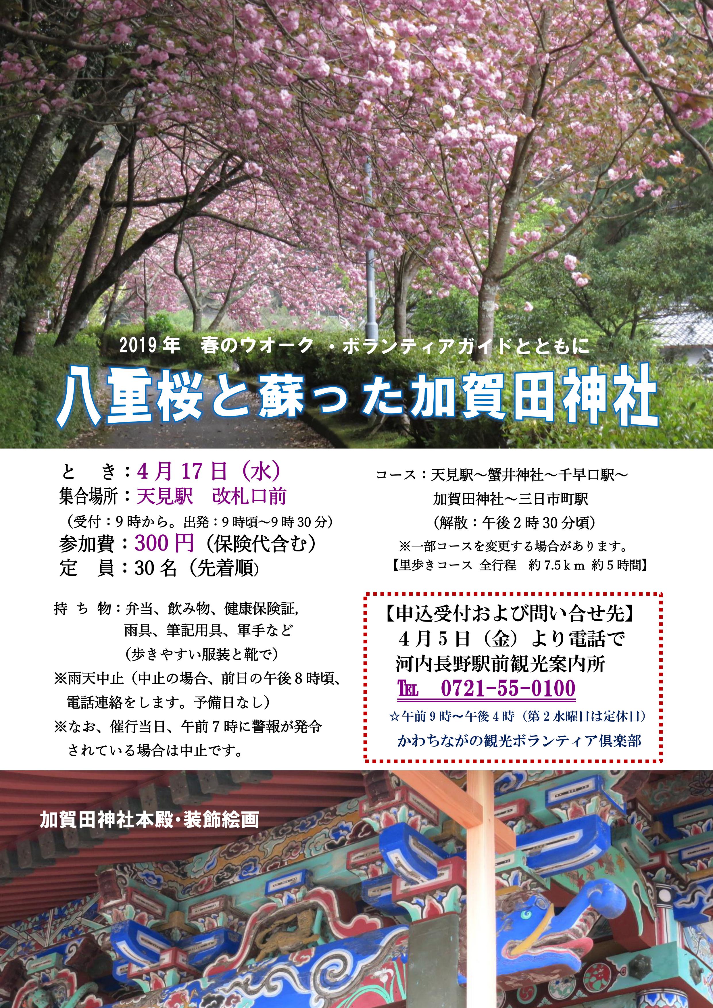 八重桜と蘇った加賀田神社.jpg