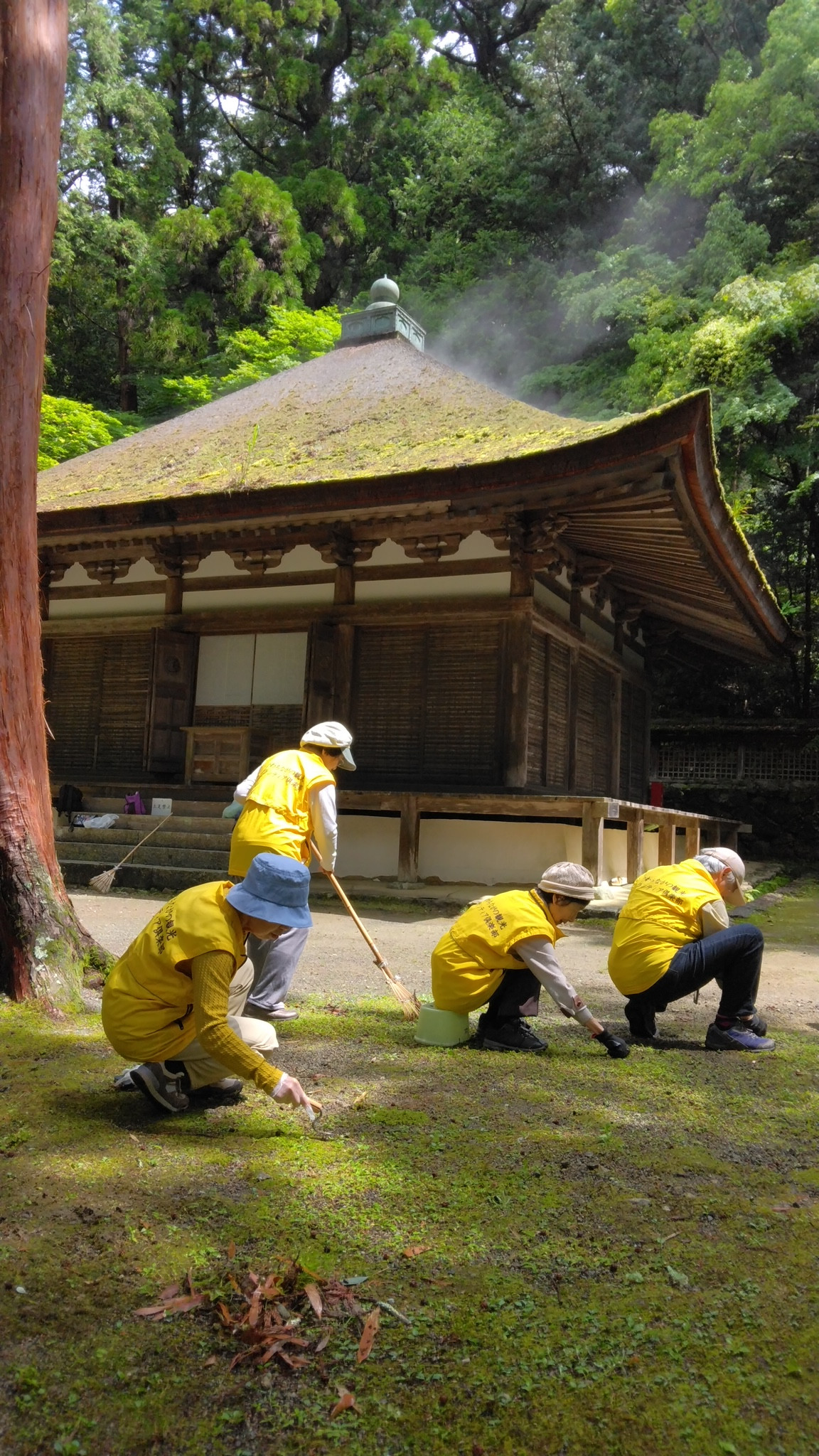 ５月20日　楠公際に向けて、境内清掃をしました