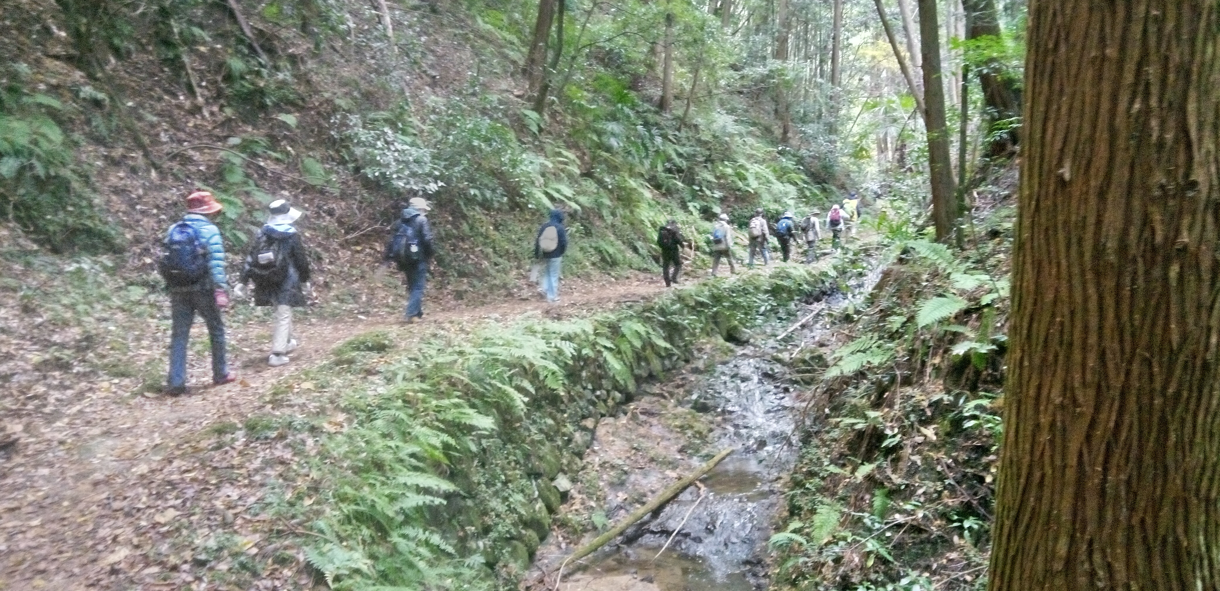 延命寺からソタ峰へ