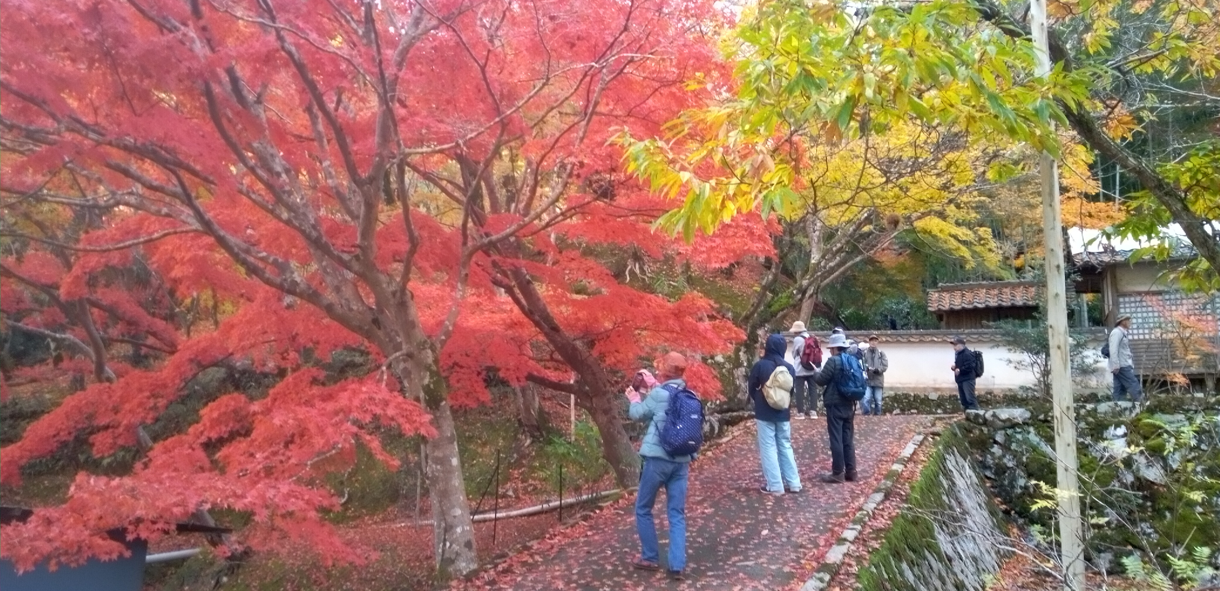 紅葉が見頃な清水・地蔵寺に到着