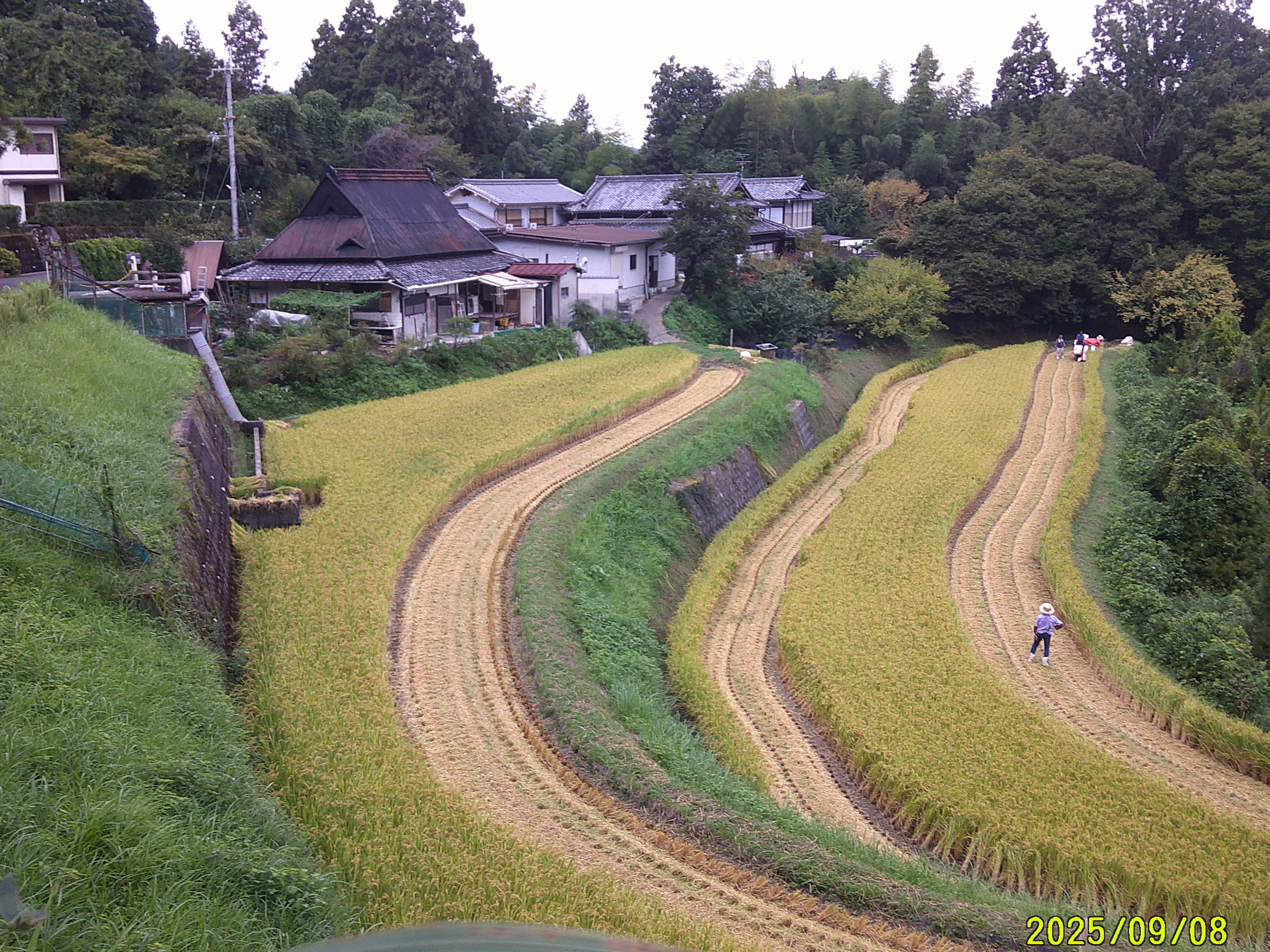DSCF0446.JPG