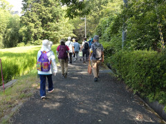 DSC_2692.jpg