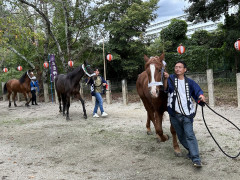 ⑦住吉神社・馬駆け神事2..jpg