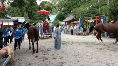 ⑦住吉神社・馬駆け神事.jpg