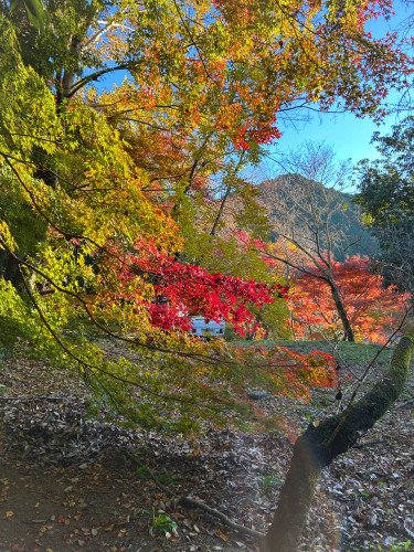 2025_12_4 20_06_21 - 編集済み.jpeg