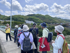 潮湧岩.JPG