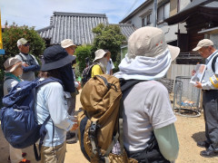 DSC_3426.jpg