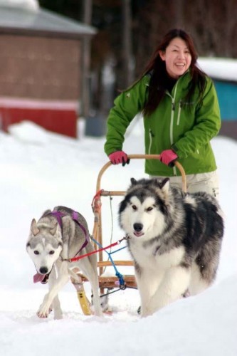 Sledding - G&H Racing Mals
