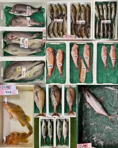 060801.jpg