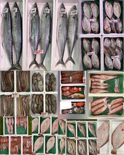1019１.jpg