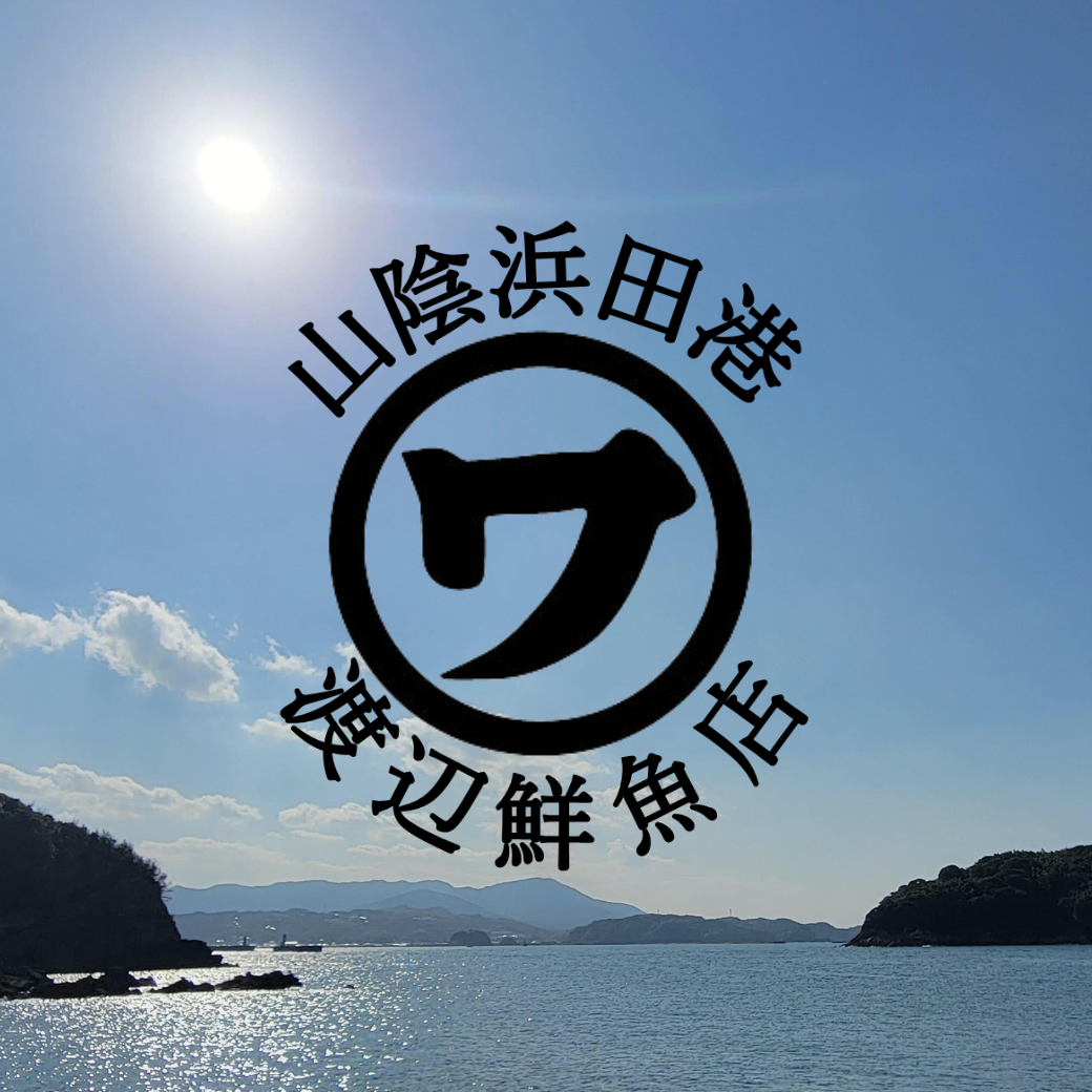 2026年　本日より始動です！