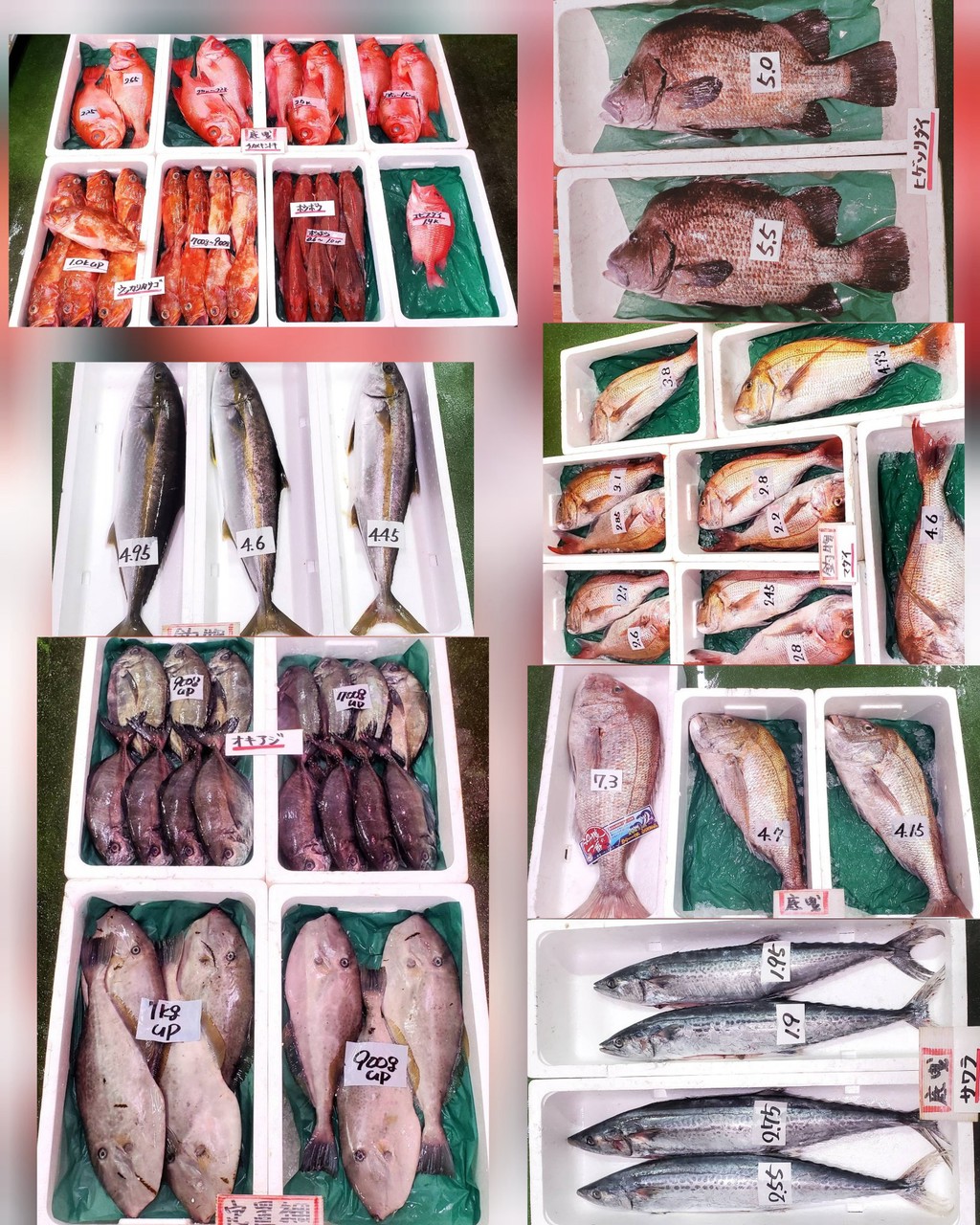 10月2日 入荷写真1