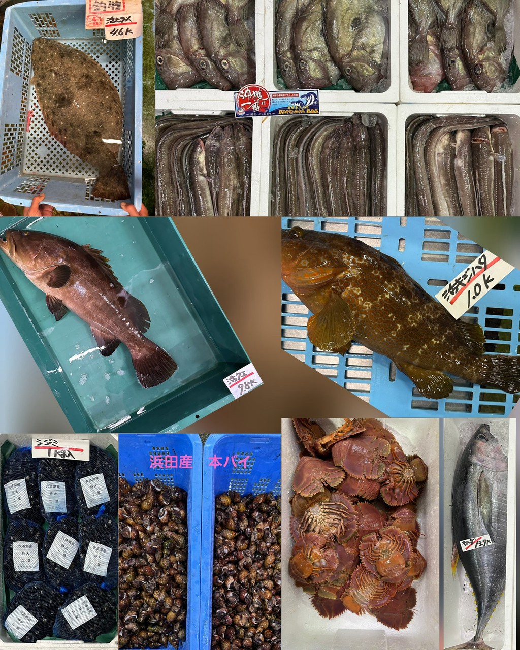 10月2日 入荷写真2