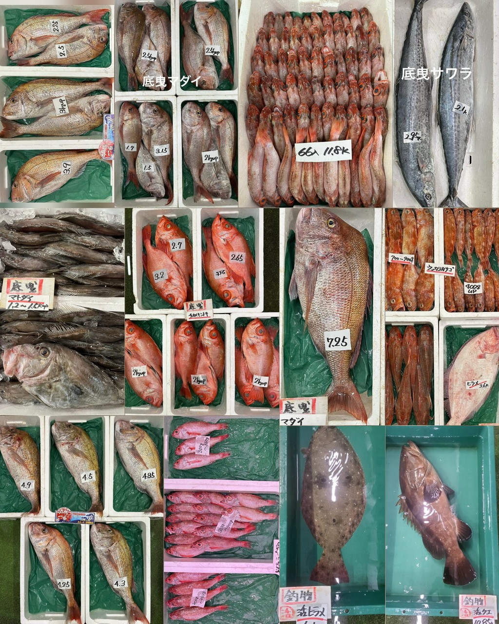 10月5日 入荷写真1