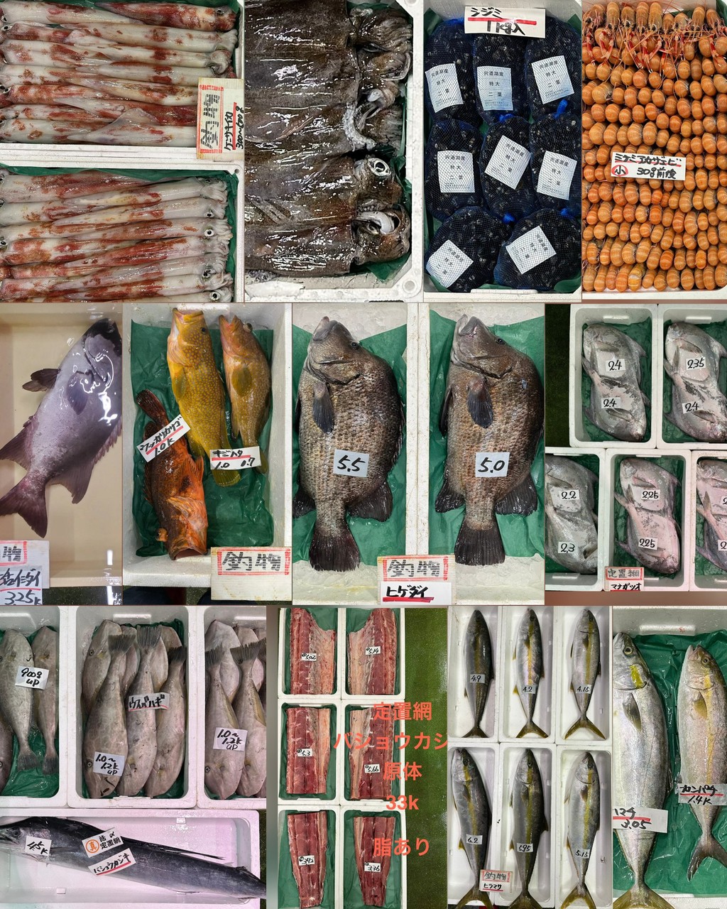10月5日 入荷写真2
