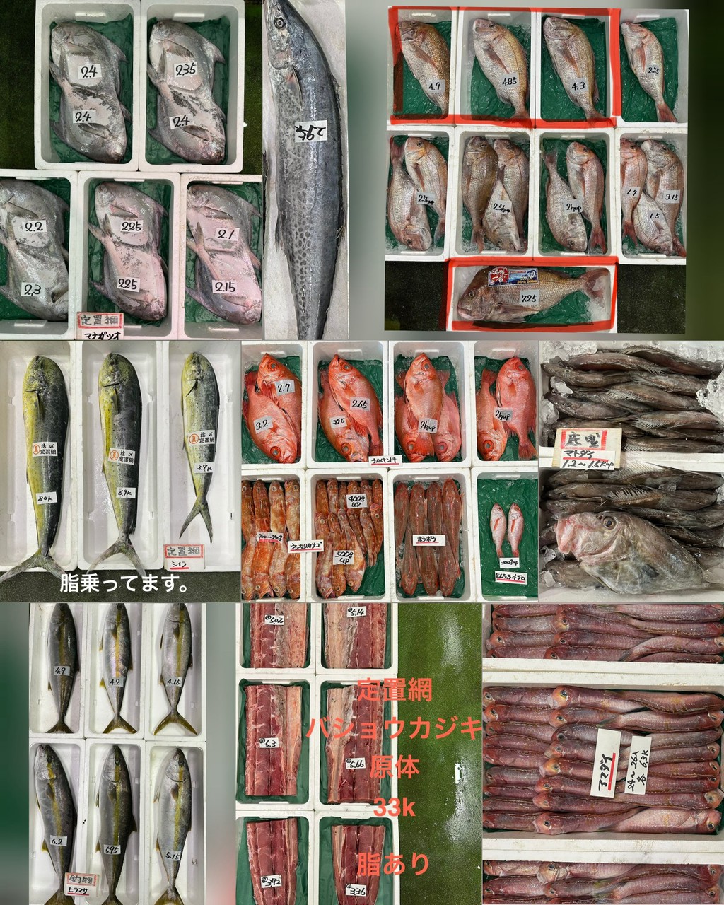 10月6日 入荷写真1