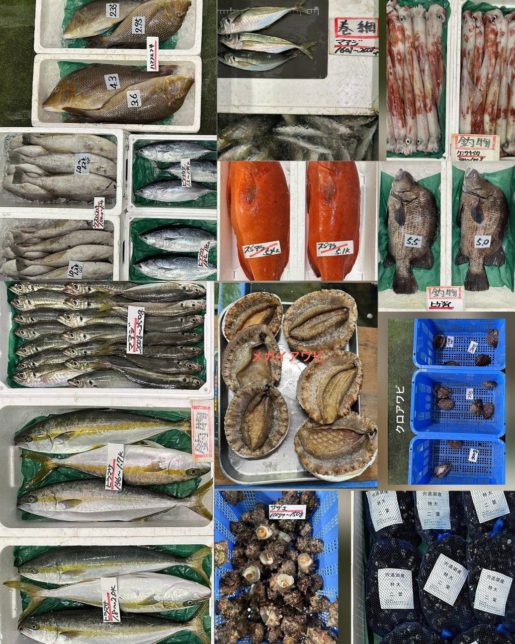 10月6日 入荷写真2