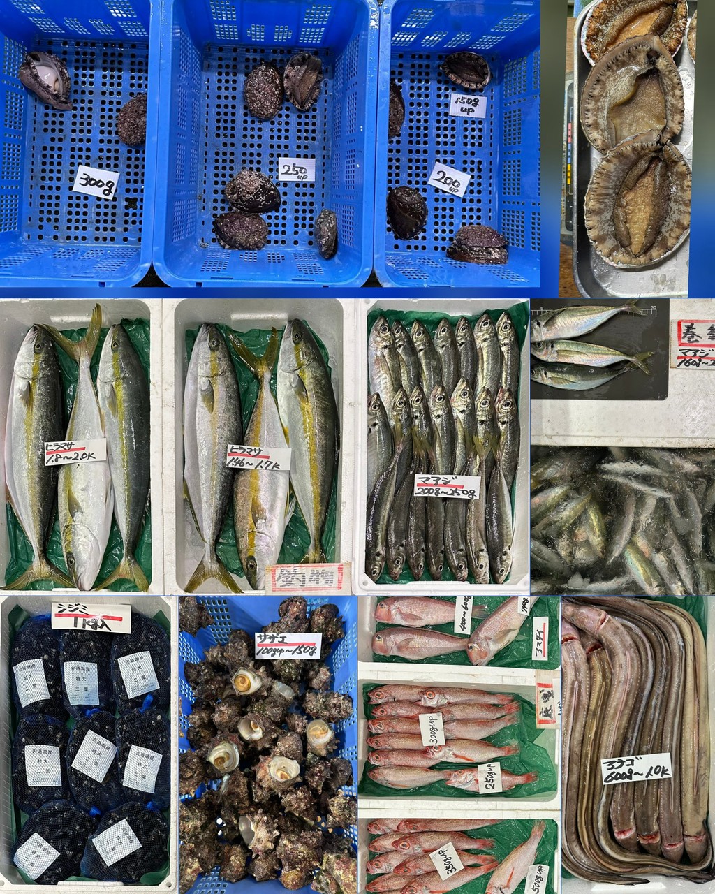 10月7日 入荷写真2