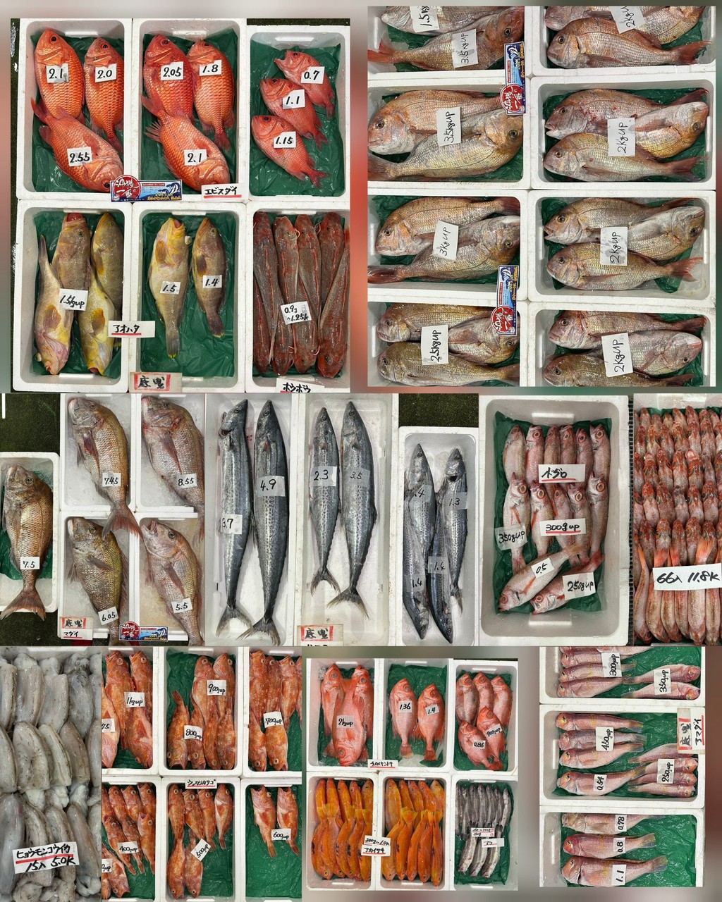 10月8日 入荷写真1