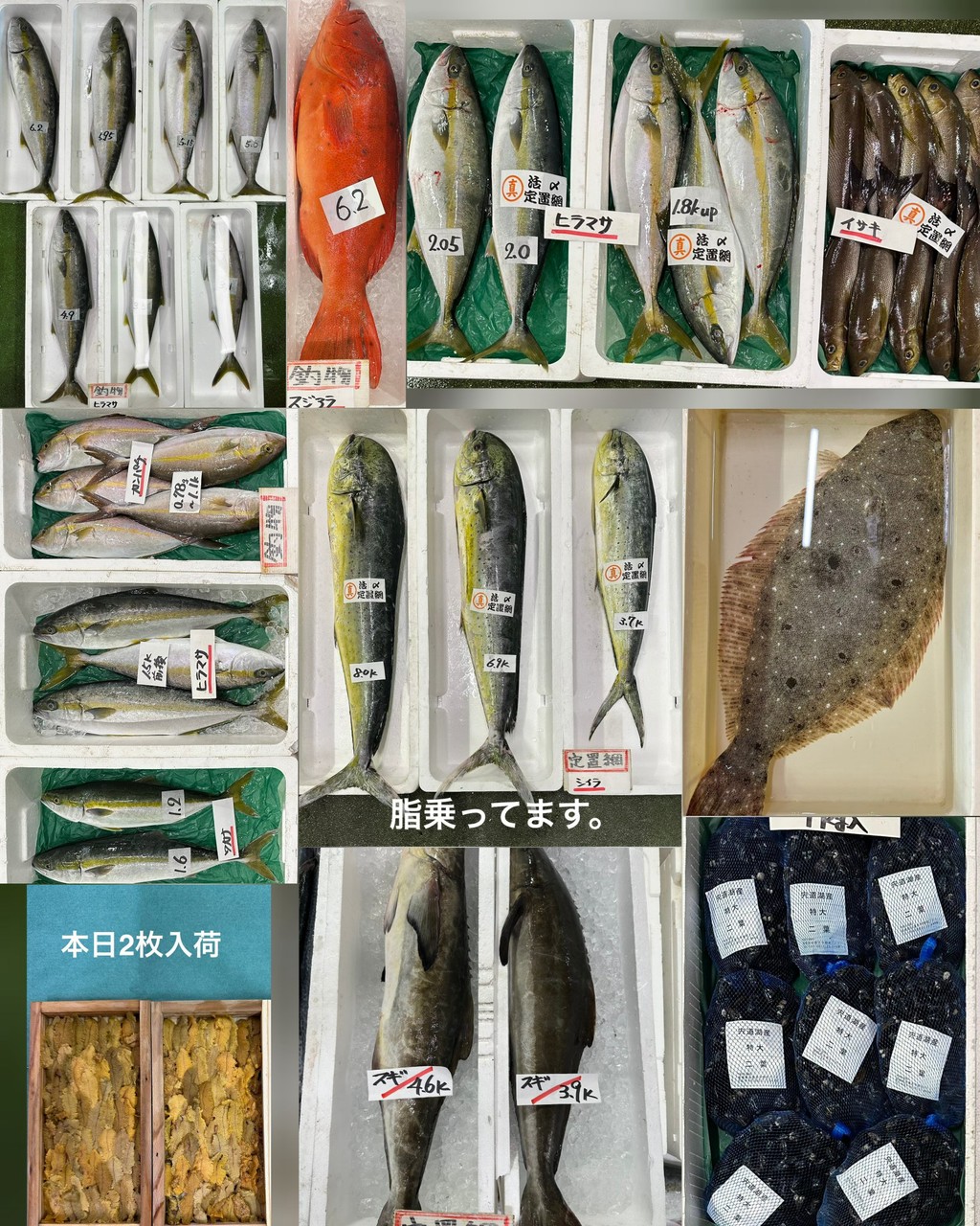 10月8日 入荷写真2