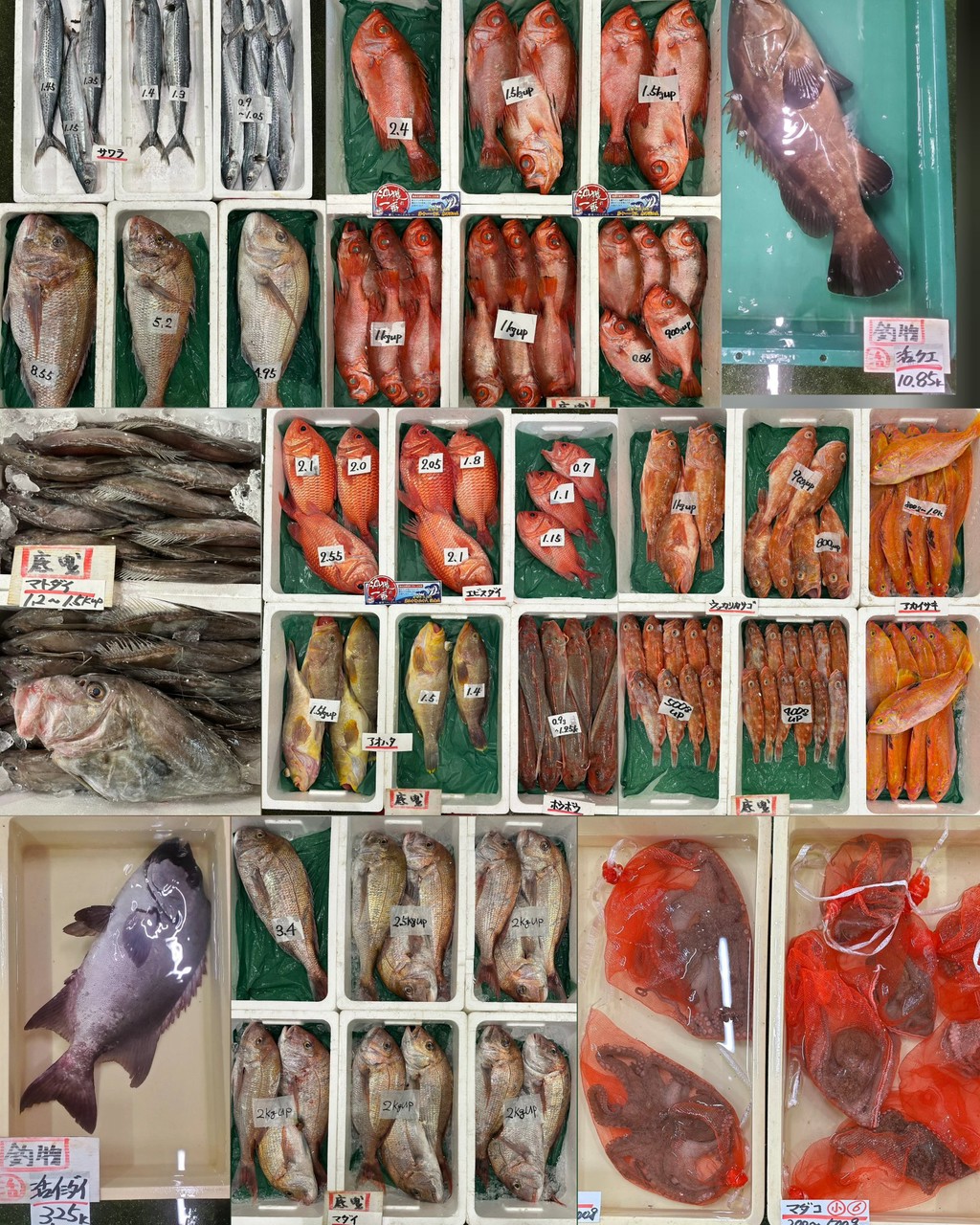 10月9日 入荷写真1