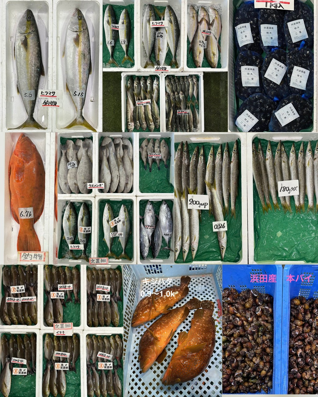 10月9日 入荷写真2
