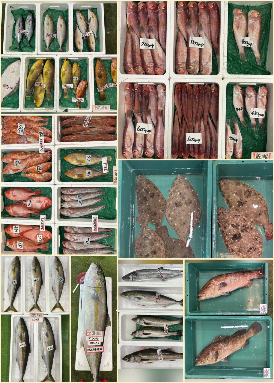 10月13日 入荷写真2