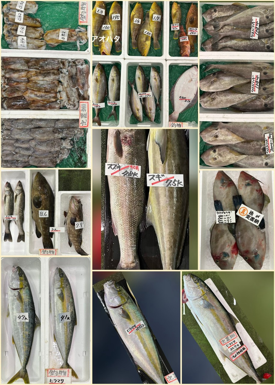10月14日 入荷写真2