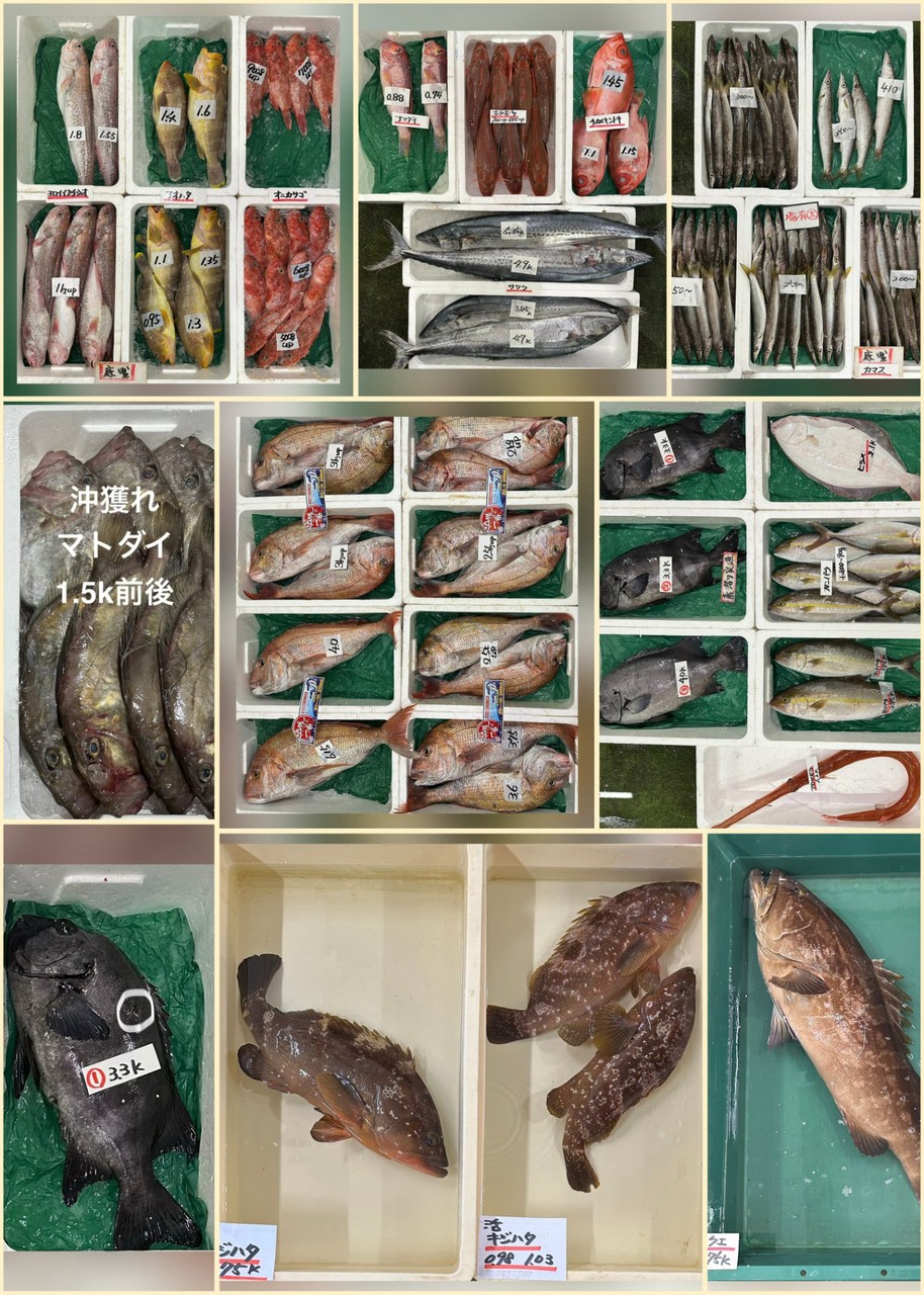 10月15日 入荷写真1