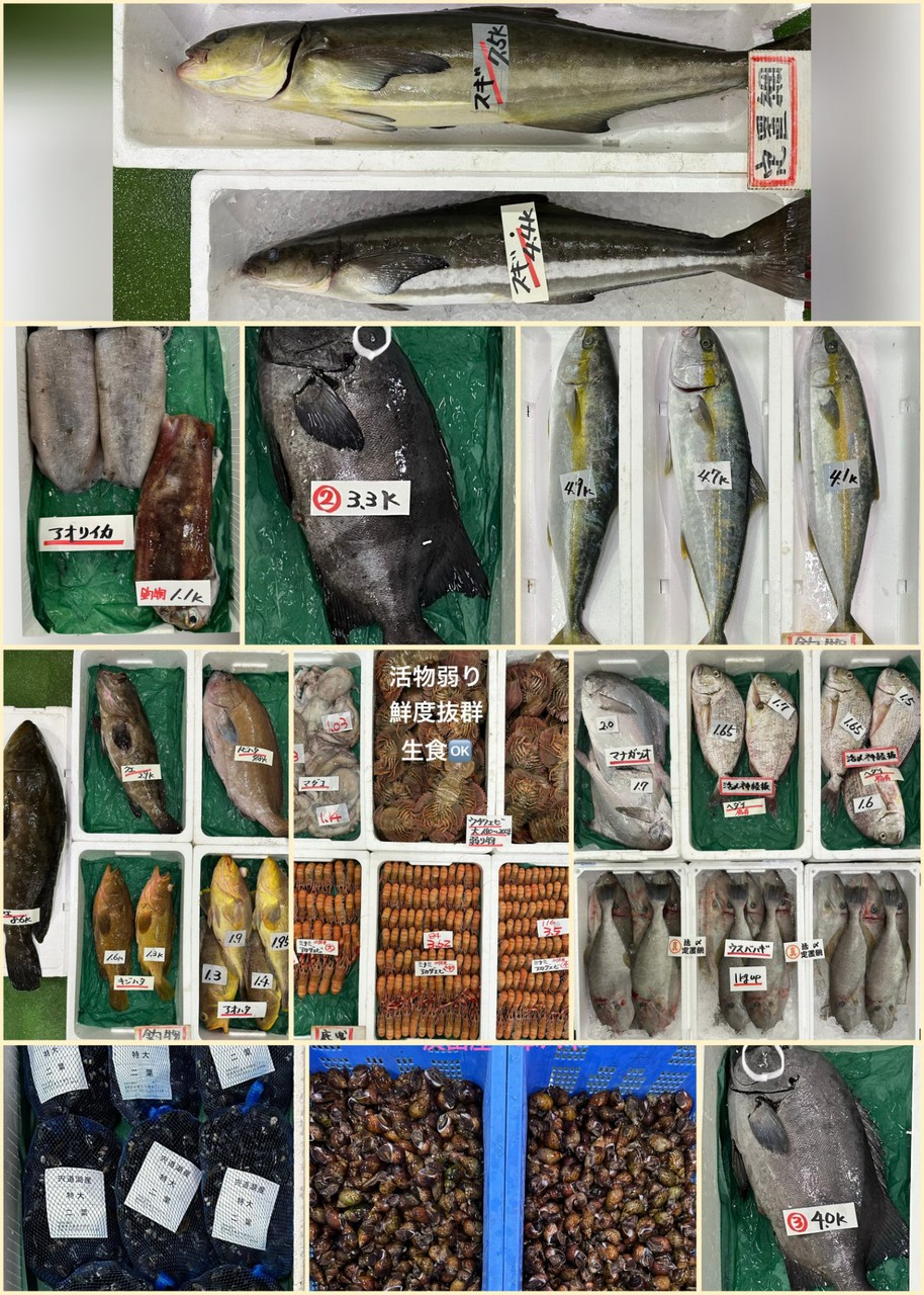 10月15日 入荷写真2