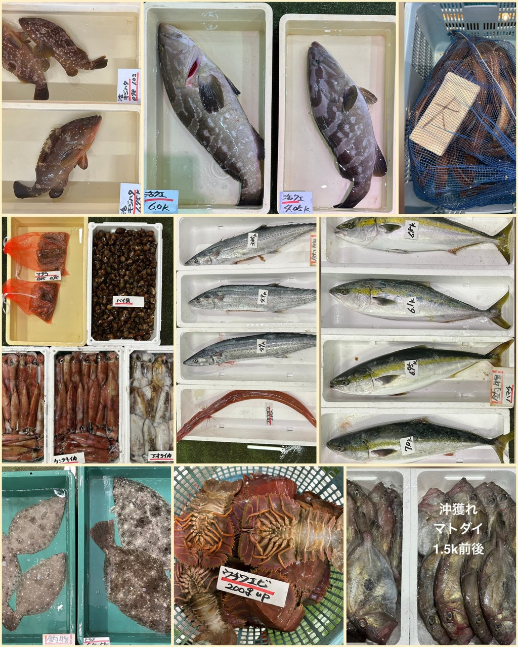10月18日 入荷写真2