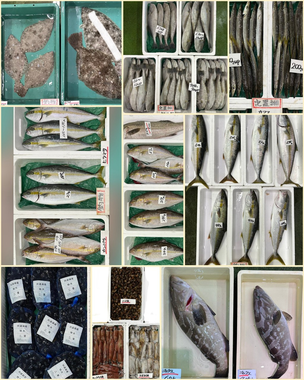 10月19日 入荷写真1