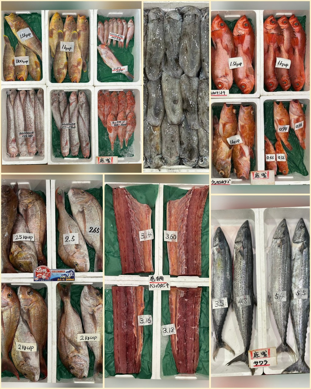 10月21日 入荷写真1