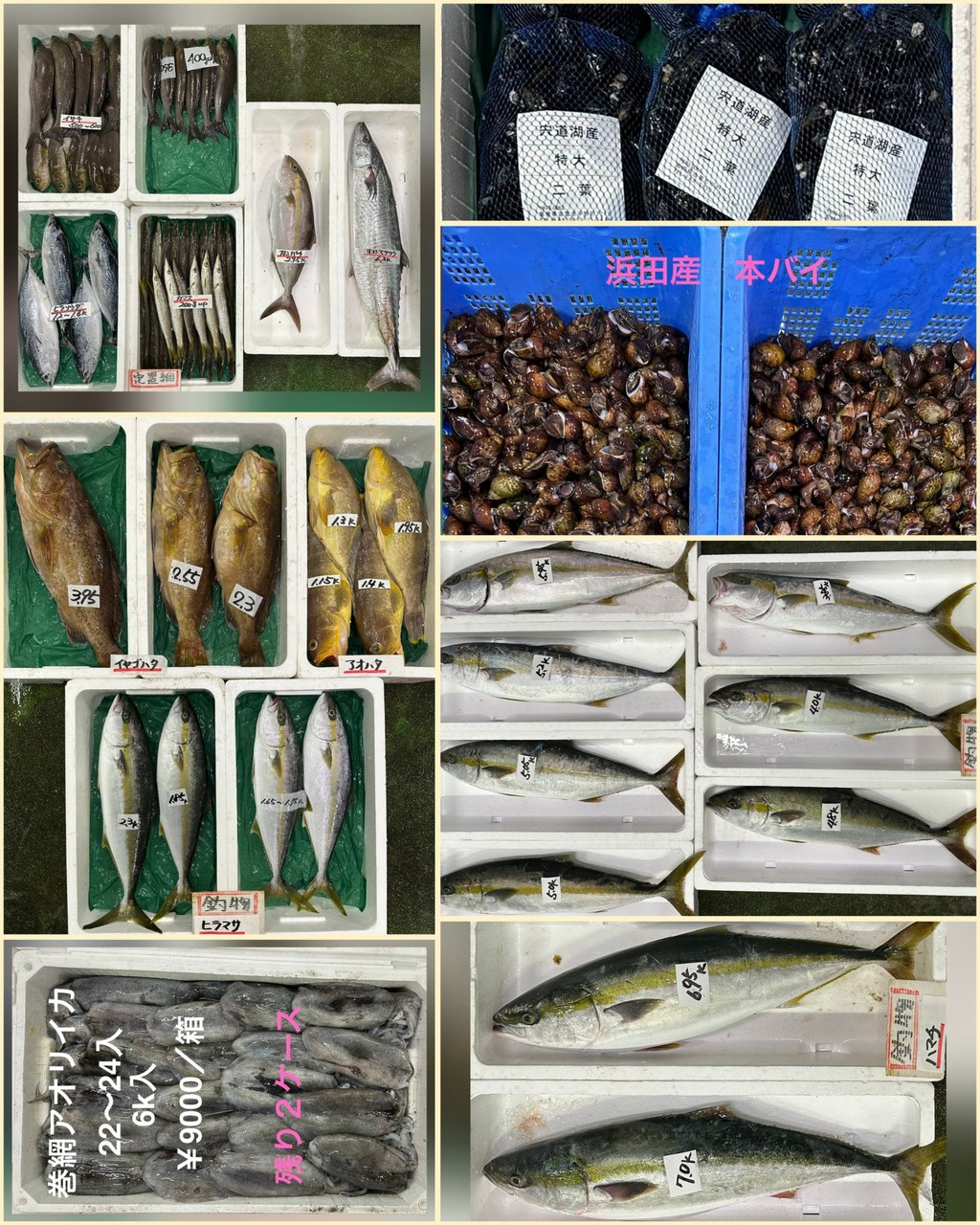 10月21日 入荷写真2